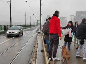 Протест због најављеног уклањања Старог савског моста