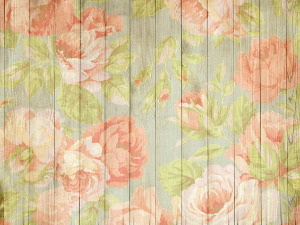 Радио драма: Дивља ружа, 6. део 