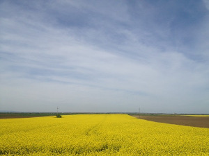 	Фолдер Србија: Поука 