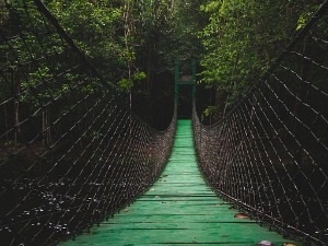 Весић: За рушење девет висећих мостова, 46 за санацију