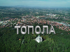 Топола