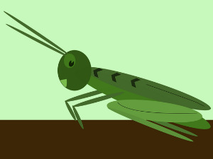  Добро јутро децо: Зрикавац Зриле 