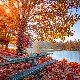 Ритам раног јутра