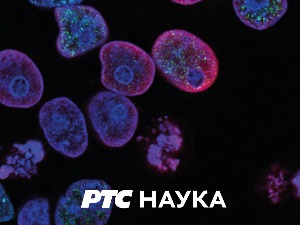 Наука у селу:	 СМС водич за заштиту биља