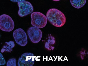 Траг у простору:	 Кратка историја људског смрада