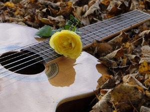 Жене у музици – Естер Маги