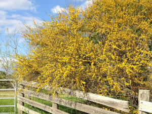 Алергија или интолеранција – како их препознати и разликовати, панике нема