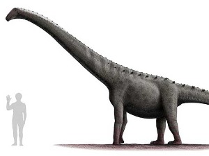 Мистериозни титаносаурус – зашто је највећи диносаурус живео у Патагонији