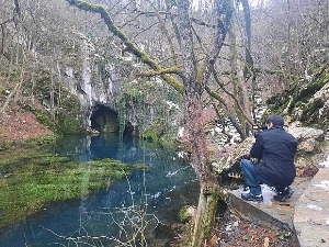 Траг-Магична лепота Хомоља