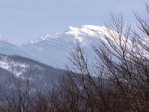 Траг-Магична лепота Хомоља