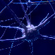 Милиони „тихих синапси“ могу бити кључ доживотног учења