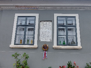 Одржан научни скуп поводом 200 година од рођења Јакова Игњатовића