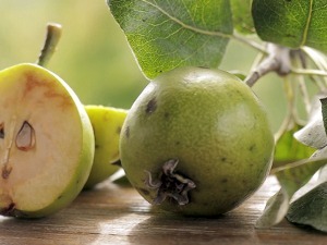 Сасвим природно-Дивље воће и вода са извора