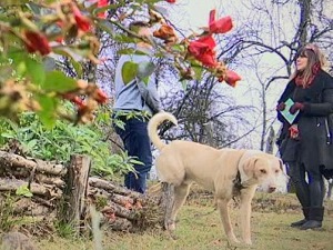 Знање имање-12.12.2021.