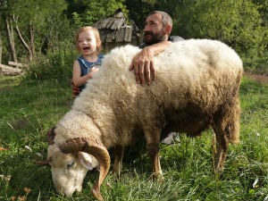  Сасвим природно-Јагоштица, живот на ивици