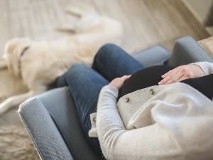 Вантелесна оплодња са увезеним материјалом, ко и када може да се пријави