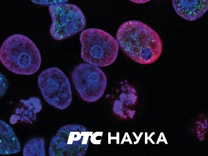 Траг:	 Српски Нобел Никола Спасић