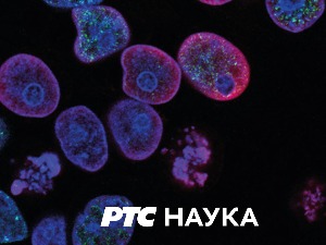 Историја науке:	 Атанасије Николић