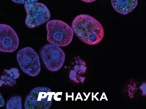 Београдско благо:	 Музеј Николе Тесле, 1. део