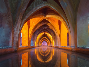 Окружење опажамо са седам чула, тврде архитекте