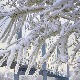 Снег у нижим пределима, температура од минус 3 до 6 степени