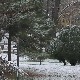 Забелела се Србија, у већини места пао први снег