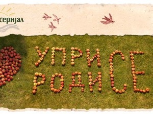 Уприродисе  - Шта је то дом