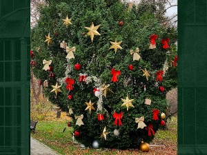 Ботаничка башта у празничном издању, а посетиоци могу бити хуманитарци