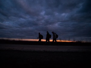 Комесаријат: Повећан број миграната из Азије и Африке, Србија наставља да се одговорно понаша