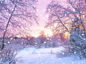 Зима као инспирација