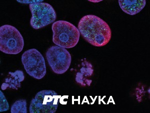 РТС ЛАБ:	 Криминалистика