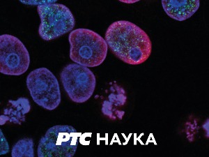 Од пигмента до концепта:	 Бескрајни плави круг и у њему звезда