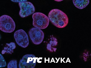 Наука 2022:	 Теслине визије будућности