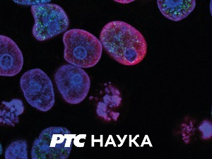 Наука 50:	 Лепота