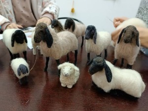 Знање имање-11.12.2022.