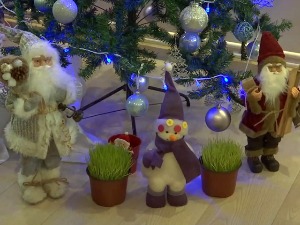 Божићни обичаји се у Руском Крстуру преносе генерацијама - како у породици Њаради дочекују празник