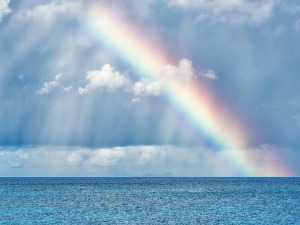 Зашто  дугине боје немају црну, браон и сиву боју у спектру