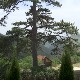 Еко перспективе: Извештај о стању планете