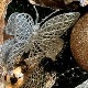 Еко перспективе - Стиже нова година