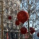 Ујутру мраз и магла, током дана сунчано – температура до 18 степени