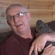 Петао на суду и друге приче