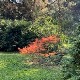 Бележница 27 - Шуме