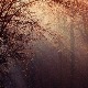Последњег дана старе године пролећне температуре