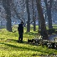 Новогодишње пролеће се наставља – сунчано и топло до 18 степени