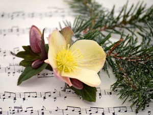 Како не чинити ништа, а бити незаменљив