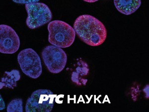 Великани српске Војводине:	 Бранко Радичевић