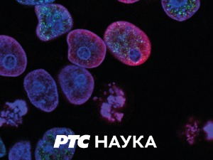 Професионалци:	 Драгољуб Замуровић