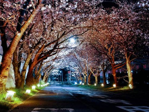 Ноћне променаде