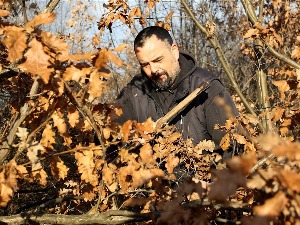 Обичаји за Бадњи дан – бдење, пијукање, крцање ораха и обавезно дрен