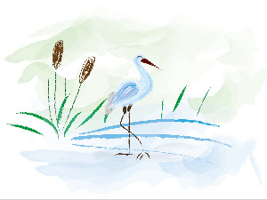 Радио басна: Лисица и рода 